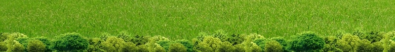 蓝天白云绿草地背景cdr设计背景_新图网 https://ixintu.com 小清新 平静 文艺 海报背景 白云 祥和 空旷 绿树 绿草地 蓝天