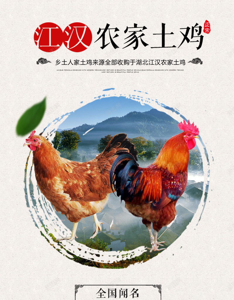 农家跑山鸡H5背景psd设计背景_新图网 https://ixintu.com H5 h5 公鸡 农家 土鸡 小清新 文艺 简约 营养 跑山鸡