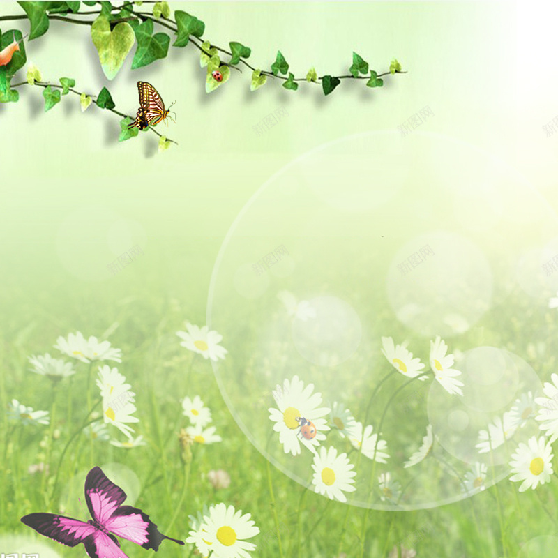 花草蝴蝶背景psd设计背景_新图网 https://ixintu.com 主图 小清新 文艺 白色 简约 藤蔓 蝴蝶 雏菊