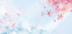 浪漫樱花樱花节主题海报背景高清图片
