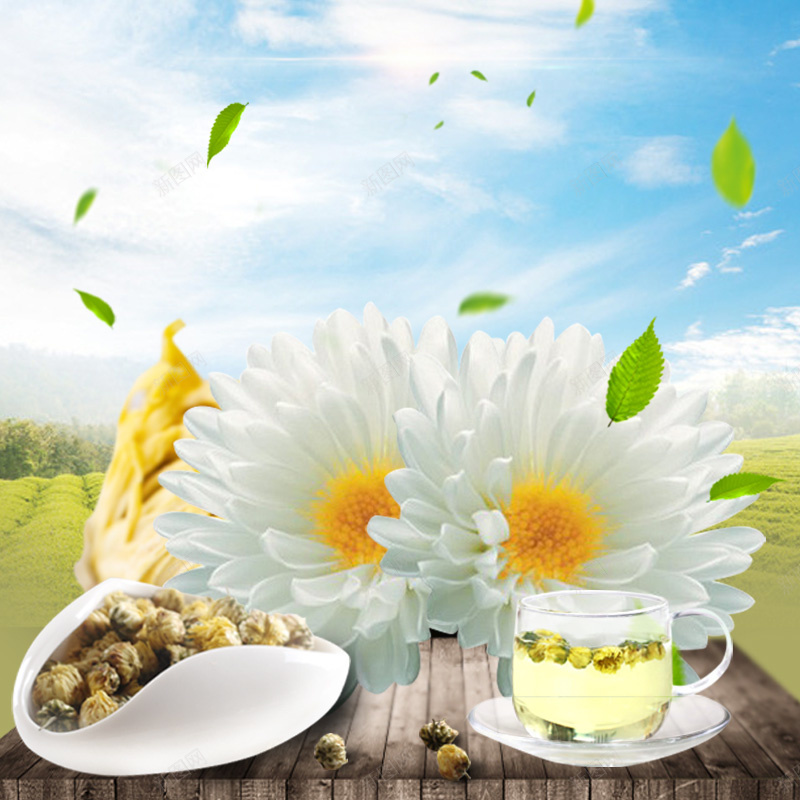 简约菊花茶饮料PSD分层主图背景jpg设计背景_新图网 https://ixintu.com 主图 木板 淘宝 漂浮绿叶 白色菊花 直通车 简约背景 花茶 菊花 菊花茶 蓝天背景 食品促销