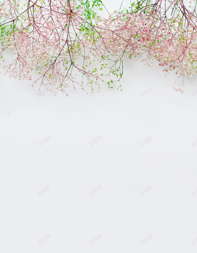 小碎花背景H5背景jpg设计背景_新图网 https://ixintu.com 一束花 小清新 文艺 温馨 简约 纯色 花 花朵