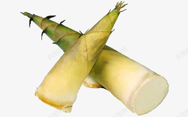 春天笋尖png免抠素材_新图网 https://ixintu.com 春笋 竹子 竹笋 笋尖 绿色