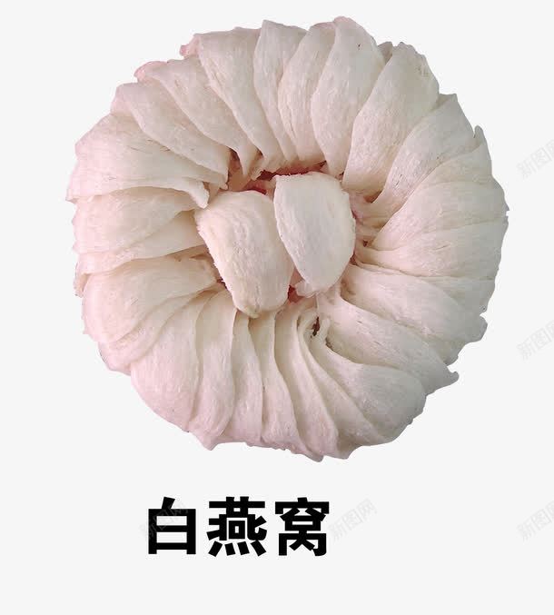 白燕窝png免抠素材_新图网 https://ixintu.com 中医 中草药 中药 医疗保健