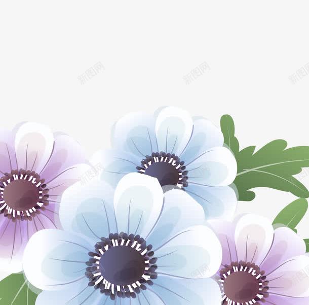 梦幻雏菊边框背景png免抠素材_新图网 https://ixintu.com 梦幻 浅色 清新 背景 花边 蓝色 雏菊