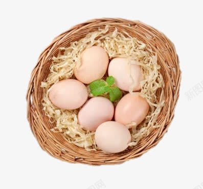 竹筐中的土鸡蛋png免抠素材_新图网 https://ixintu.com png图片素材 产品实物 免费png素材 农产品 农作物 叶子 竹筐中的土鸡蛋 绿色食品 鸡蛋