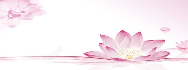 唯美背景jpg设计背景_新图网 https://ixintu.com 广告设计模板 海报设计 清新 简洁 粉色 芙蓉 荷花 莲花