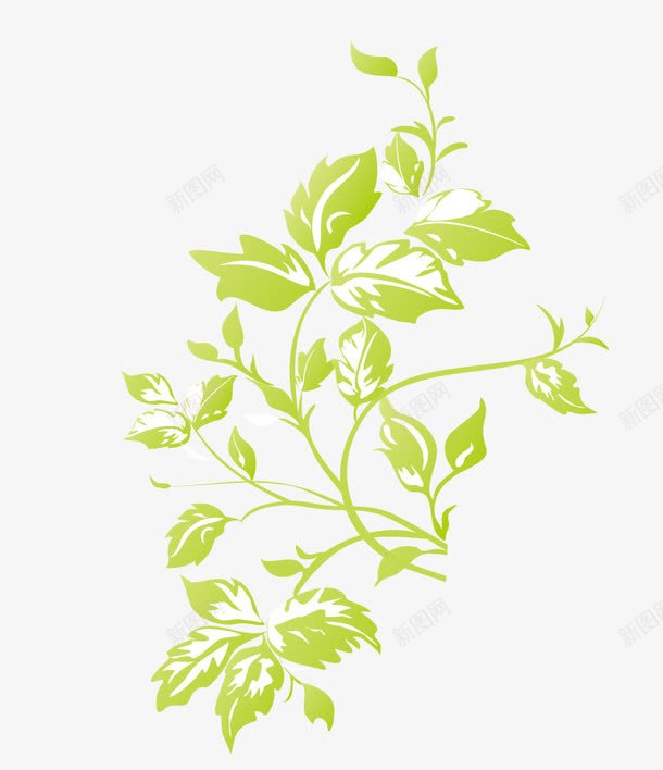 草本植物png免抠素材_新图网 https://ixintu.com 大自然 泡脚养生活动 白色 简笔画叶子 绿叶植物 绿色叶子 草本植物标签 薄荷 薄荷叶