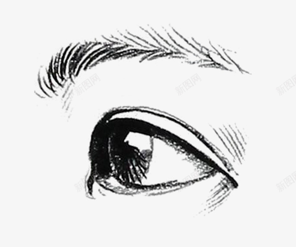 手绘侧面眼睛图标png_新图网 https://ixintu.com 五官 口鼻 四分之三侧面 女青年 手绘 眉毛 眼珠 眼睛侧面 素描