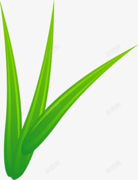绿色叶子花店名片png免抠素材_新图网 https://ixintu.com 叶子 名片 素材 绿色 花店