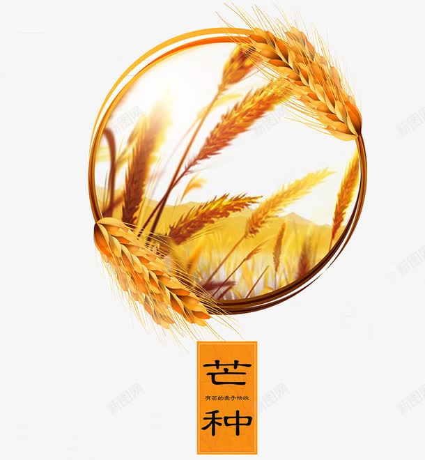 二十四节气芒种png免抠素材_新图网 https://ixintu.com 中华文化 二十四节气 传统文化 农历节气 印章 夏季 小麦 手绘 时令 时节 第9个节气 节日 节气 芒种 芒种节气 阴历五月初一 麦子卡通
