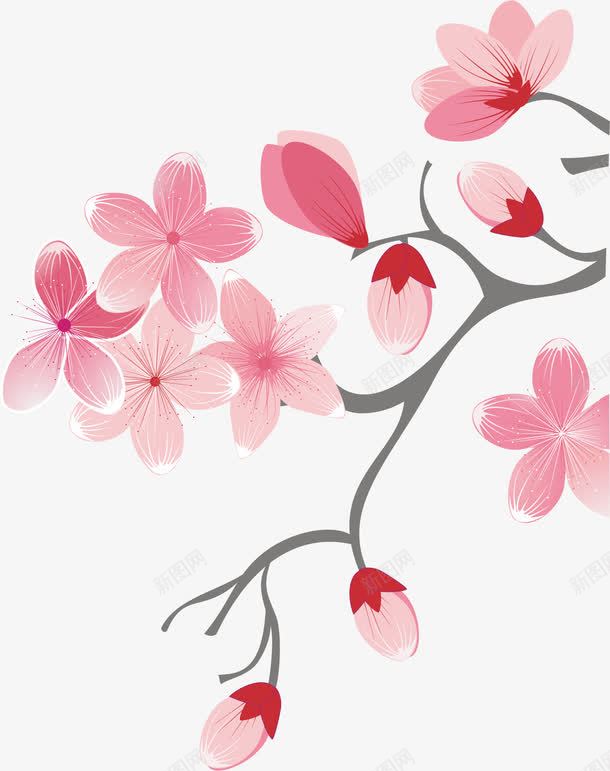 手绘杏花png免抠素材_新图网 https://ixintu.com AI 手绘 春天 杏花 粉色 花朵 花枝