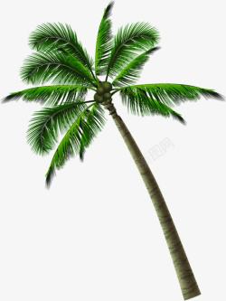 创意摄影海边沙滩上的绿色椰子树素材