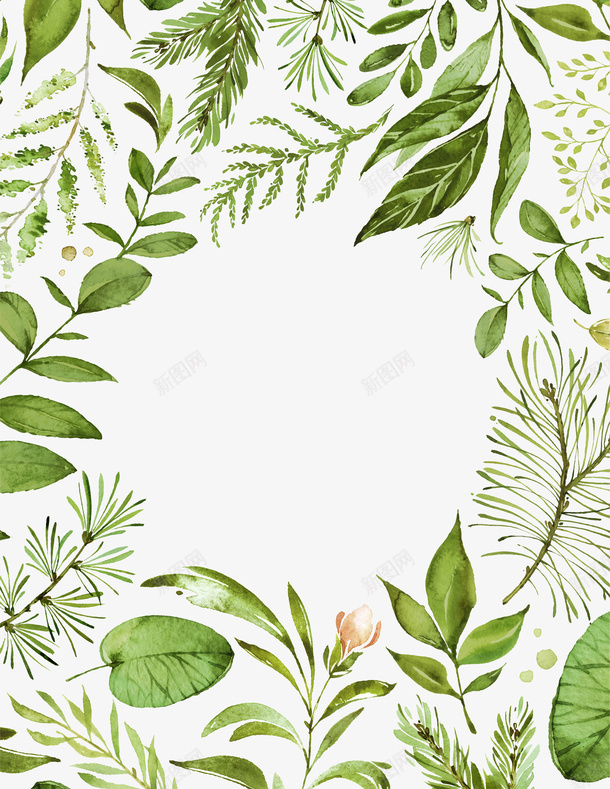 时尚简约的植物边框png免抠素材_新图网 https://ixintu.com 叶子 圆形 外边框 小清新 时尚 植物 水彩 简约 组合