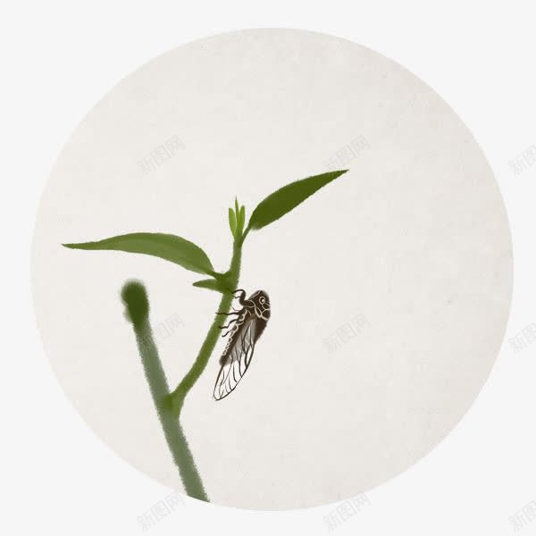 趴在竹子上的夏蝉png免抠素材_新图网 https://ixintu.com 卡通 夏虫 夏蝉 昆虫 爬树 知了 禅 节肢动物 虫子 蝉插画 蝉鸣 飞虫