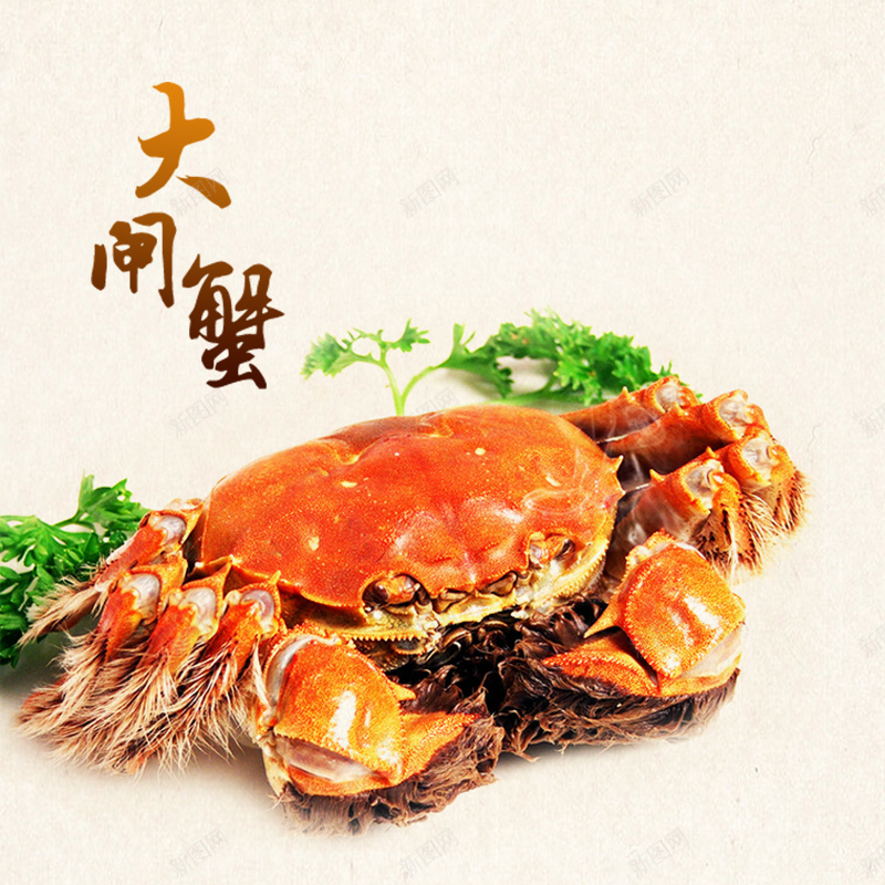 黄色背景上的大闸蟹psd设计背景_新图网 https://ixintu.com 主图背景 大闸蟹 淘宝广告 爬行 美食 营养 钳子 黄色背景