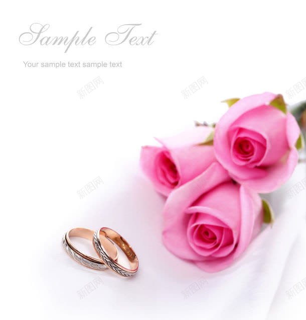 情侣戒指与粉色玫瑰花jpg设计背景_新图网 https://ixintu.com 其它类别 图片素材 婚礼戒指 婚礼素材 婚礼背景 情侣戒指 情侣戒指与粉色玫瑰花图片 情侣戒指与粉色玫瑰花图片素材下载 戒指 粉色 粉色玫瑰花 背景花边 高清图片