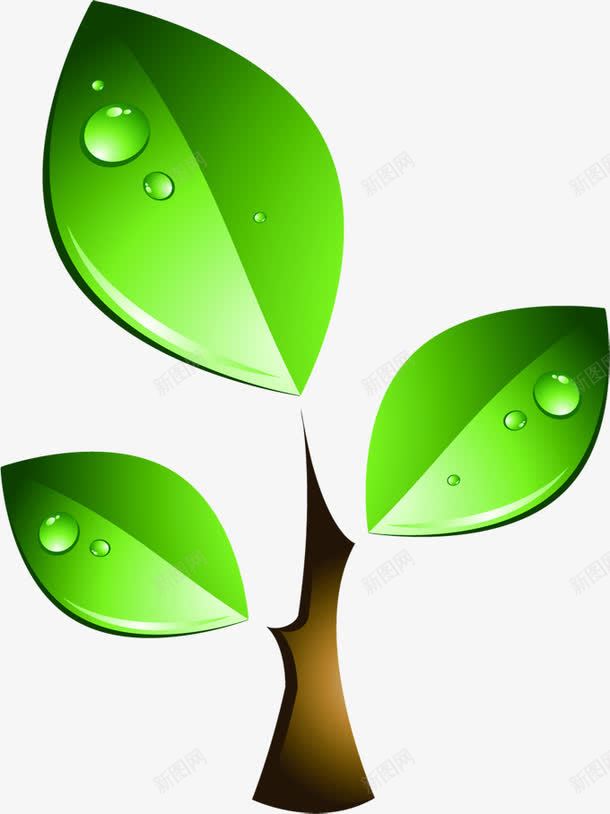 春天绿色树叶水滴png免抠素材_新图网 https://ixintu.com 春天 树叶 水滴 绿色
