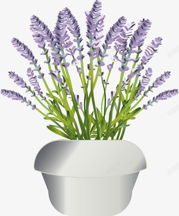 盆栽鲜花png免抠素材_新图网 https://ixintu.com 春天 春天小清晰 春天植物 春天矢量 春天装饰 盆栽 鲜花