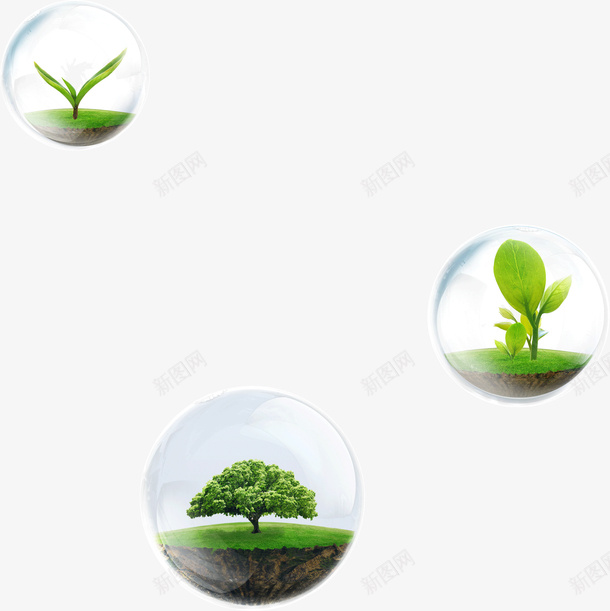 春天万物复苏png免抠素材_新图网 https://ixintu.com 万物 复苏 春天