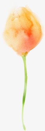 水彩玫瑰花蕊png免抠素材_新图网 https://ixintu.com 水彩 玫瑰 素材 花蕊