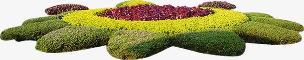 彩色树叶植物绿化png免抠素材_新图网 https://ixintu.com 彩色 树叶 植物 绿化