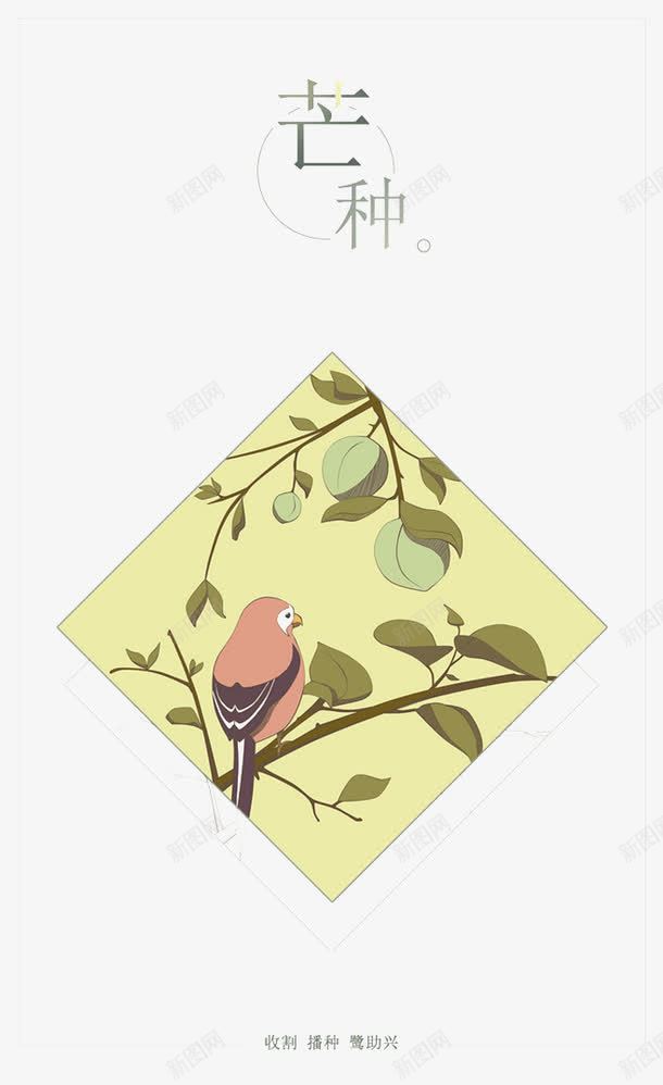 节气之芒种png免抠素材_新图网 https://ixintu.com 中华文化 二十四节气 传统文化 农历节气 夏季 小鸟 方形 时令 时节 第9个节气 节日 节气 芒种 芒种节气 阴历五月初一