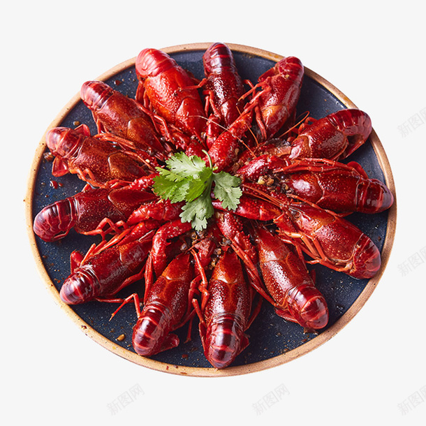 十三香味小龙虾摄影png免抠素材_新图网 https://ixintu.com 产品实物 免抠PNG 十三香味小龙虾摄影 水产 海鲜 美食 麻辣小龙虾 龙虾