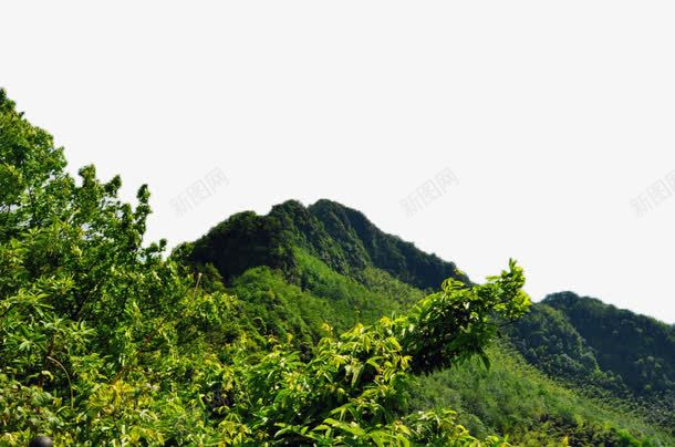 重庆永川茶山竹海风景矢量图eps免抠素材_新图网 https://ixintu.com 山水 旅游 美景 重庆 风景 矢量图