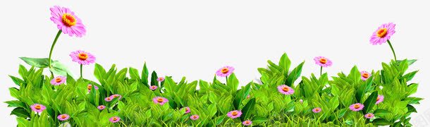 粉色花朵花丛装饰边框纹理png免抠素材_新图网 https://ixintu.com 免抠PNG 粉色 花丛 花朵 花草 装饰 边框纹理