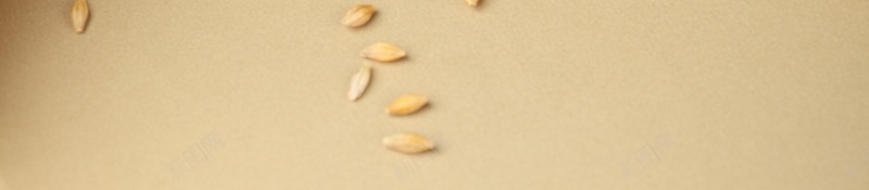 面包饼干美食背景jpg设计背景_新图网 https://ixintu.com PPT 烘焙ppt 美食 美食背景 面包 食物 饼干