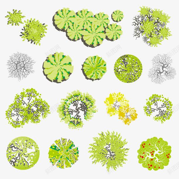 景观植物平面图png免抠素材_新图网 https://ixintu.com 景观 树木 设计