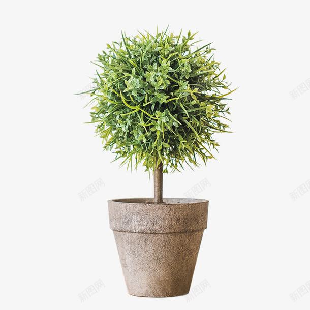 仿真树球盆景png免抠素材_新图网 https://ixintu.com 咖盆 桌面餐桌装饰品 绿植盆栽 花球草球