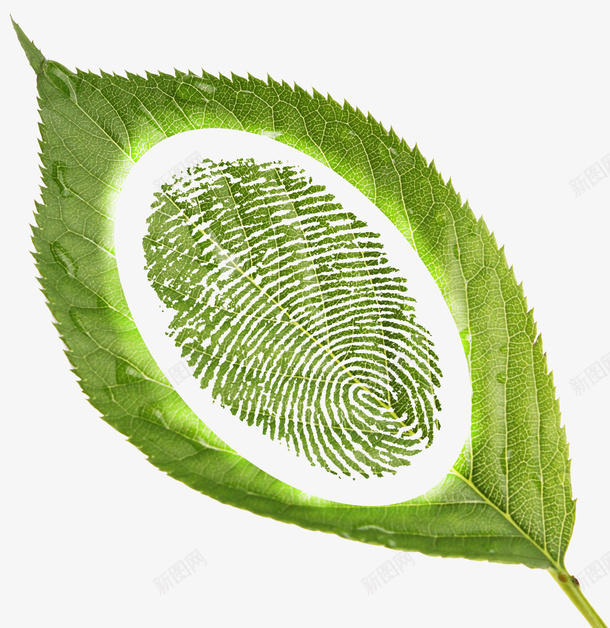树叶上的指纹png免抠素材_新图网 https://ixintu.com 企业文化 免抠素材 指纹 树叶 环保 科技 细节
