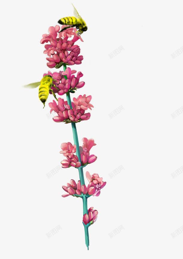 小花蜜蜂png免抠素材_新图网 https://ixintu.com 七星瓢虫 三角梅 山楂 桃花 梅花 水仙花 牡丹 玫瑰 紫色的水仙花 草地 菊花 葡萄 蓝莓 蜜蜂 蝴蝶 蝴蝶兰 郁金香 雏菊