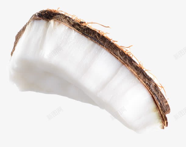 白色椰子肉png免抠素材_新图网 https://ixintu.com 果仁 果肉 椰果肉 水果 食物