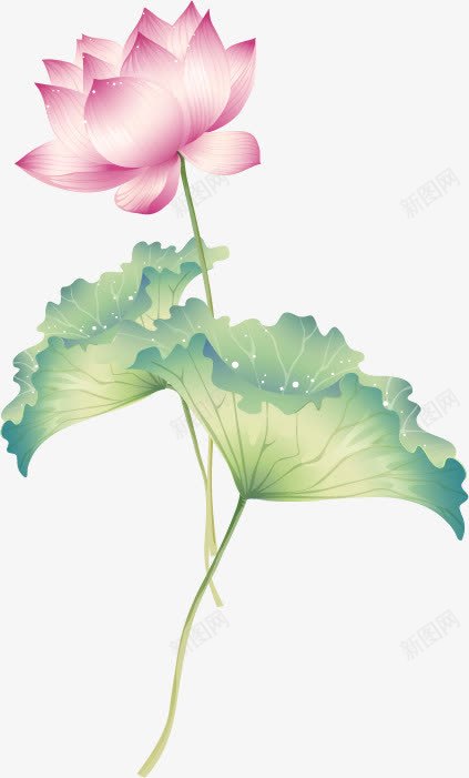 唯美淡雅荷花装饰png免抠素材_新图网 https://ixintu.com 唯美淡雅荷花装饰 彩墨莲花 清雅 粉红荷花 荷叶 莲花 莲蓬