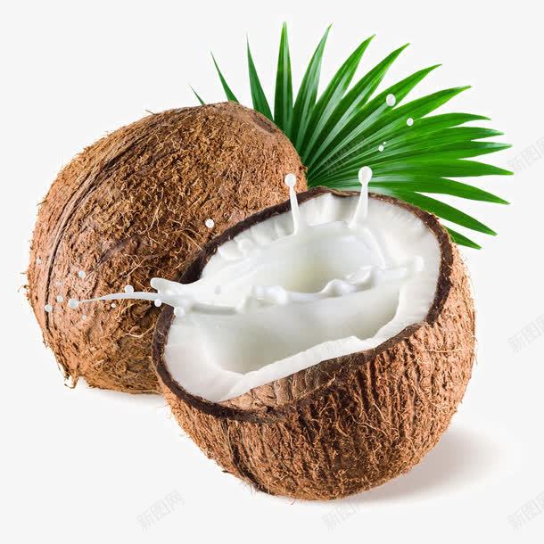 新鲜的椰子png免抠素材_新图网 https://ixintu.com 切开果肉椰子 摄影 新鲜水果 新鲜的椰子 果实 水果 热带水果 美食 蔬菜 餐饮