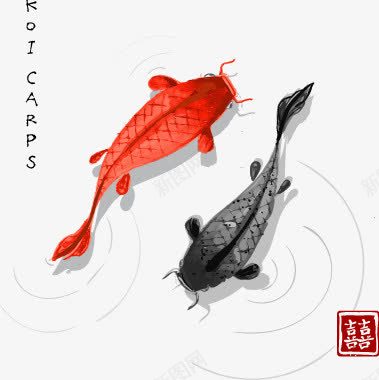 水彩中国风png免抠素材_新图网 https://ixintu.com 中国风 大气 水墨 水彩 水晕 锦鲤