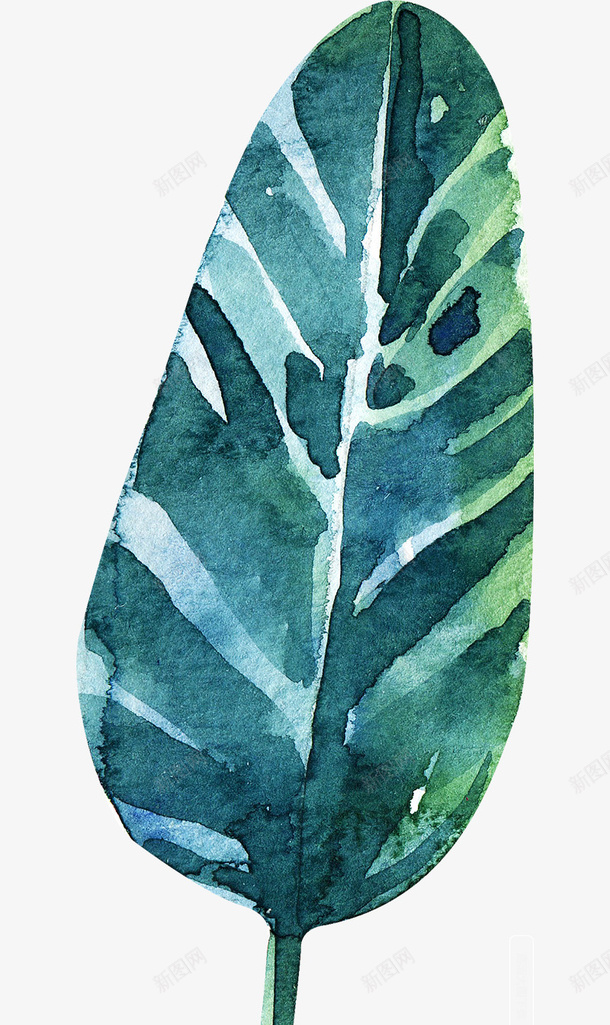 芭蕉叶水彩画png免抠素材_新图网 https://ixintu.com 植物花卉 热带植物 热带雨林 芭蕉叶 芭蕉叶水彩画免抠PNG 花卉植物