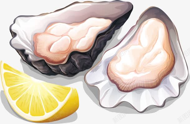 美味的生蚝png免抠素材_新图网 https://ixintu.com 海鲜 烤生蚝 生蚝 矢量素材