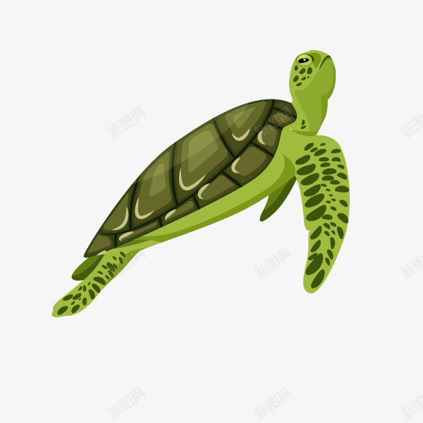 卡通装饰海洋生物海报海龟png免抠素材_新图网 https://ixintu.com 动物插画 卡通海洋生物 广告设计 旅游宣传册设计 海报设计 海龟