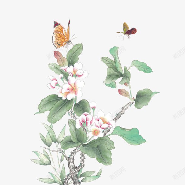 白色花朵蝴蝶花枝水彩古风png免抠素材_新图网 https://ixintu.com 古风 水彩 白色 花朵 蝴蝶花