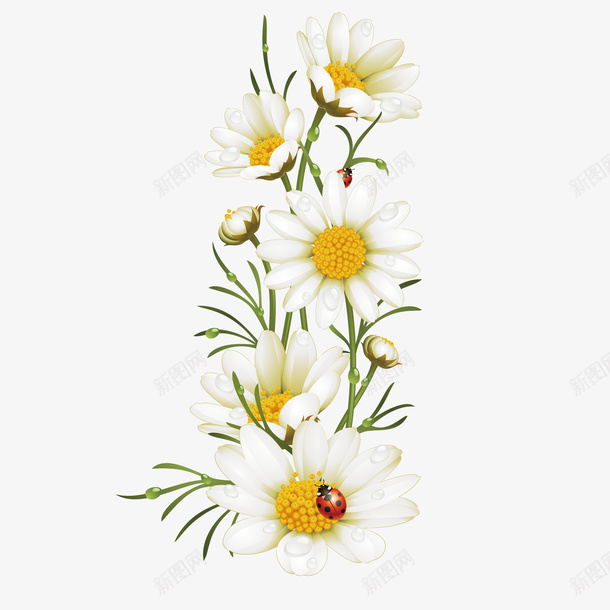 24节气插画海报白菊花矢量图ai免抠素材_新图网 https://ixintu.com 24节气插画海报 传统节气 海报 矢量图 简约海报 花瓶简约 菊花图案