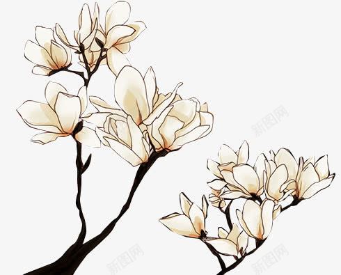 花png免抠素材_新图网 https://ixintu.com 中国风 卡通 古风 夏天 手绘 文艺 春天 植物 清新 花卉 花朵 鲜花
