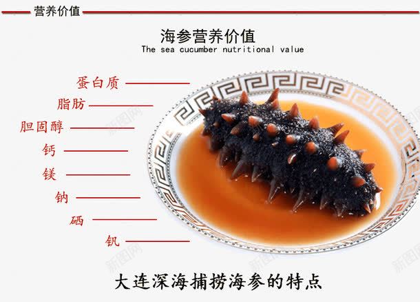 海参美食png免抠素材_新图网 https://ixintu.com 海参 海鲜介绍 美食