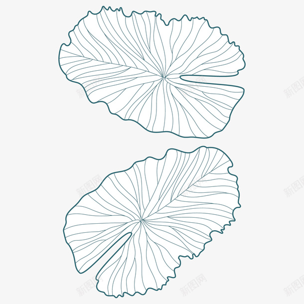 线条美丽植物手绘矢量图ai免抠素材_新图网 https://ixintu.com 个性 卡通 叶子 手绘 植物 淡蓝色 简单 荷叶 矢量图