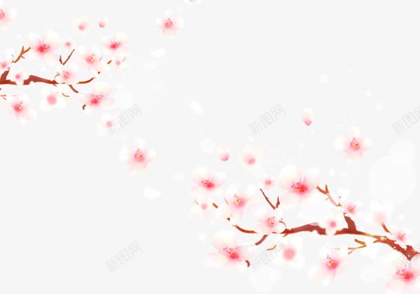樱花飘落png免抠素材_新图网 https://ixintu.com 两枝樱花 日本樱花 樱花素材 樱花飘落 落樱