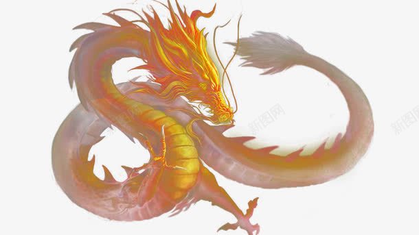 金色龙纹png免抠素材_新图网 https://ixintu.com 效果 祥龙图案 素材 金光 金光四射 金色 金龙吉祥 龙 龙纹