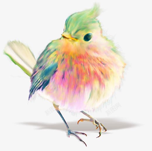 手绘彩色羽毛卡通小鸟动物png免抠素材_新图网 https://ixintu.com 动物 卡通 小鸟 彩色 羽毛